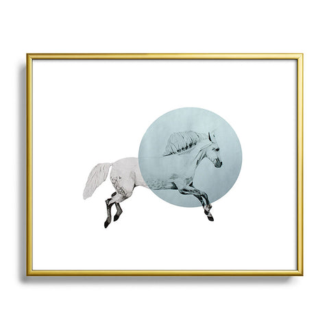 Morgan Kendall White Horse Metal Framed Art Print