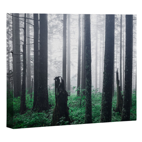 Nature Magick Forest Adventure Art Canvas