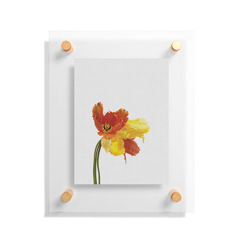 Orara Studio Tulip Still Life Floating Acrylic Print