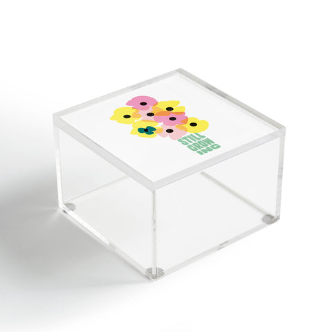 Phirst Still Growing Acrylic Box