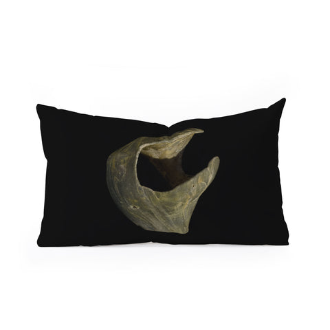 PI Photography and Designs States of Erosion 5 Oblong Throw Pillow