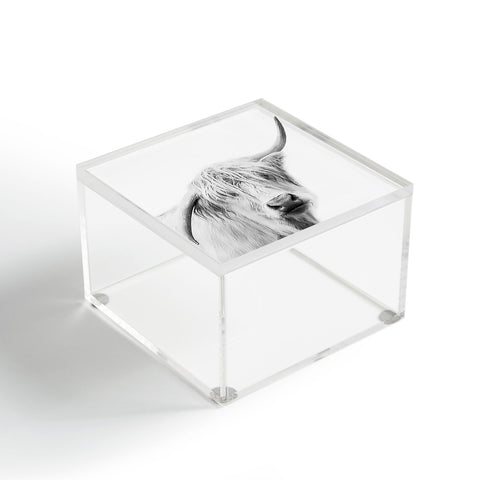 Sisi and Seb Hey Cow Acrylic Box