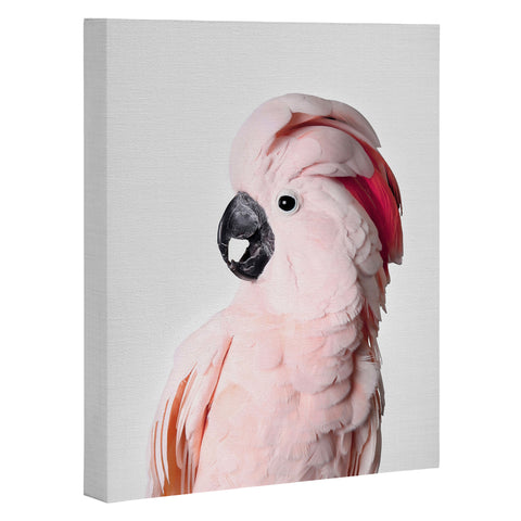 Sisi and Seb Pink Cockatoo Art Canvas